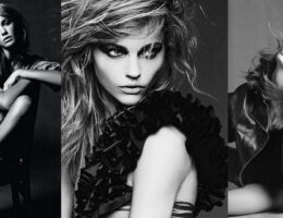 Guía Profesional 1 Guía Profesional Modelos